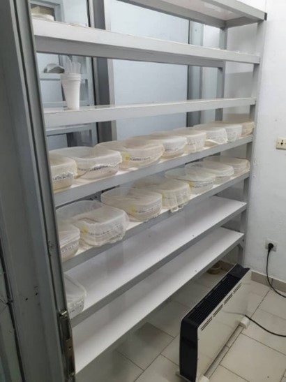 Insectarium GLP pour l’élevage et l’étude des moustiques vec…